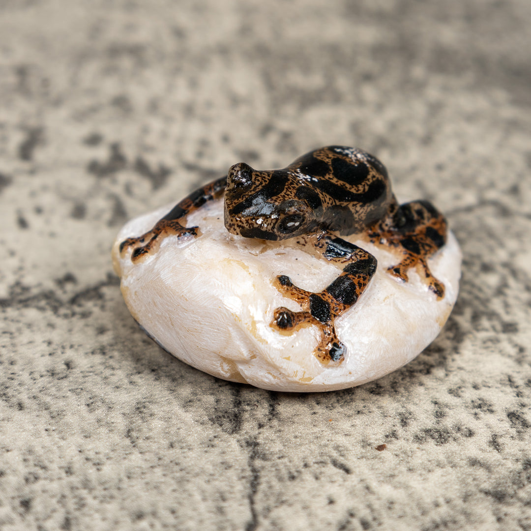 Black And Gold Poison Dart Frog Tagua Carving