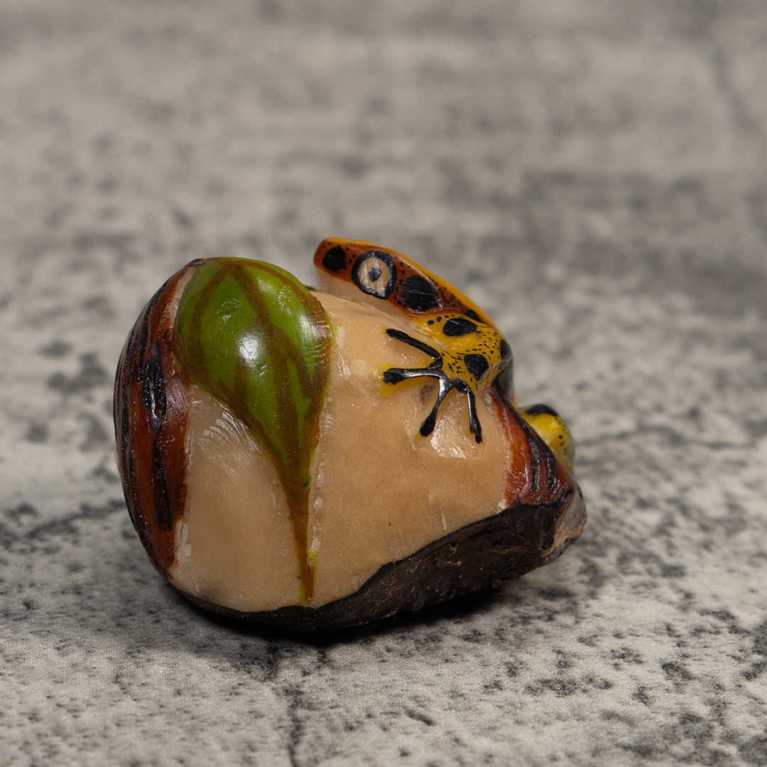 Yellow Green And Black Jungle Frog Tagua Carving