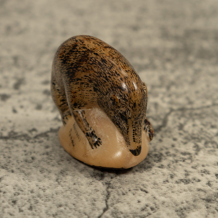 Vintage Coatmundi Tagua Carving