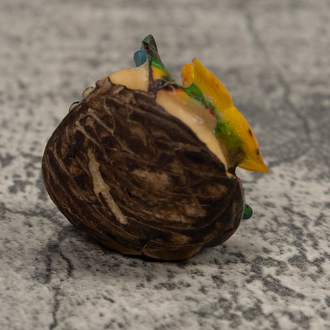 Hummingbird Tagua Carving