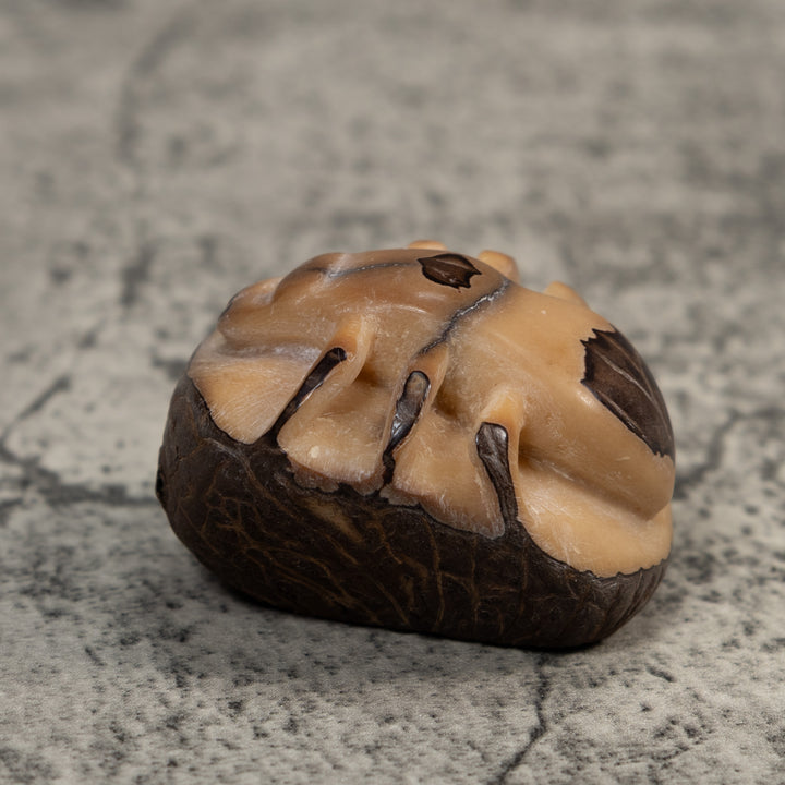 Vintage Natural White With Shuck Insect Carving