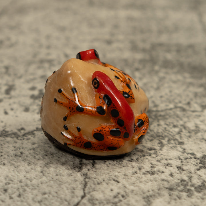 Red And Gold Two Frog Tagua Carving