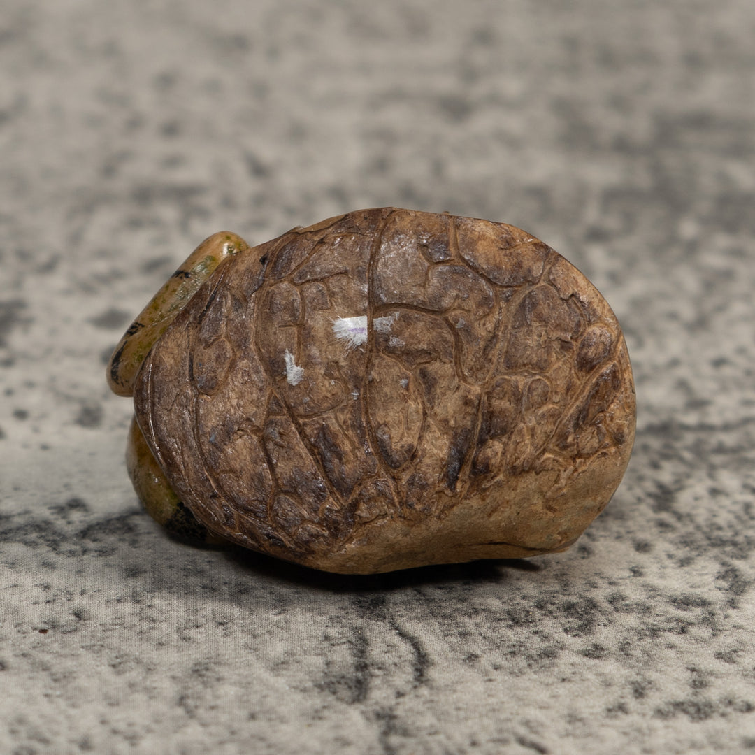 Vintage Brown And Black Iguana Tagua Carving