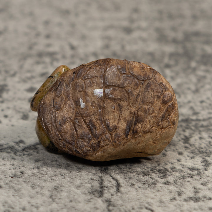 Vintage Brown And Black Iguana Tagua Carving