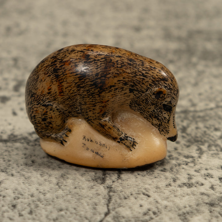 Vintage Coatmundi Tagua Carving