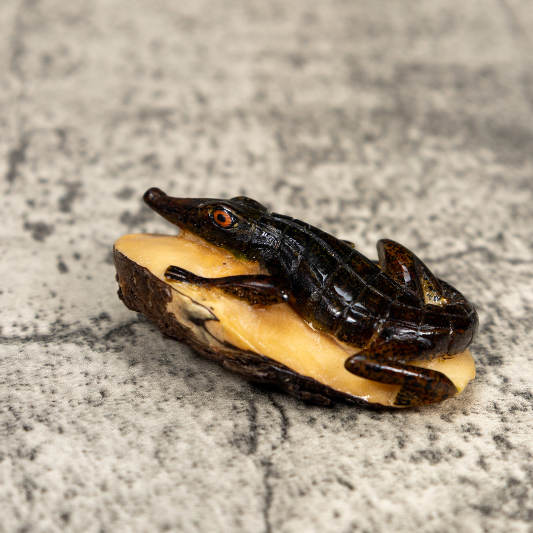 Double Nut Alligator Crocodile Caiman Tagua Carving