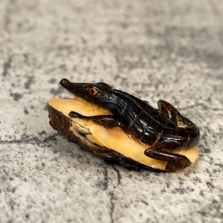 Double Nut Alligator Crocodile Caiman Tagua Carving