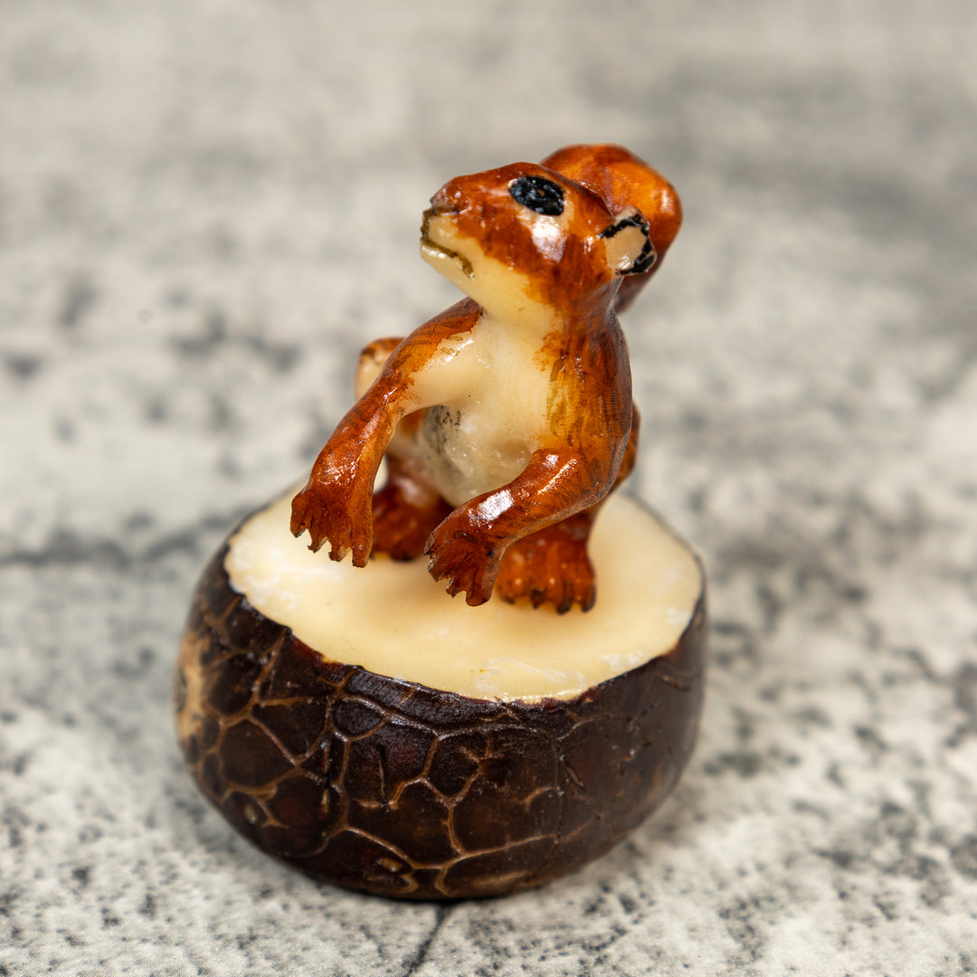 Brown Squirrel Tagua Carving