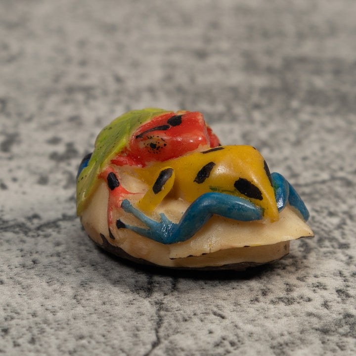 Double Red Blue And Gold Poison Dart Frog Tagua Carving