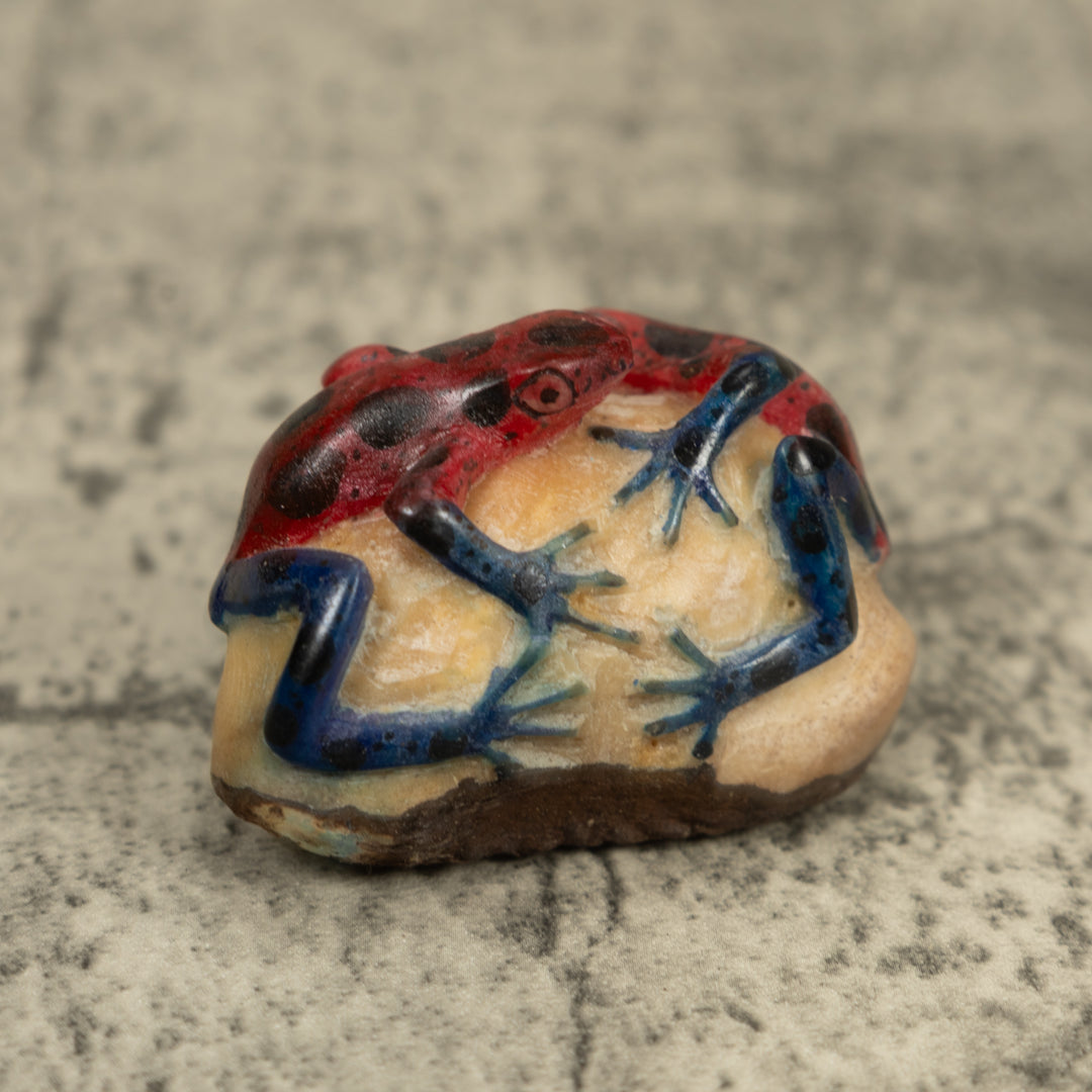 Double Blue Red And Black Frog Tagua Carving