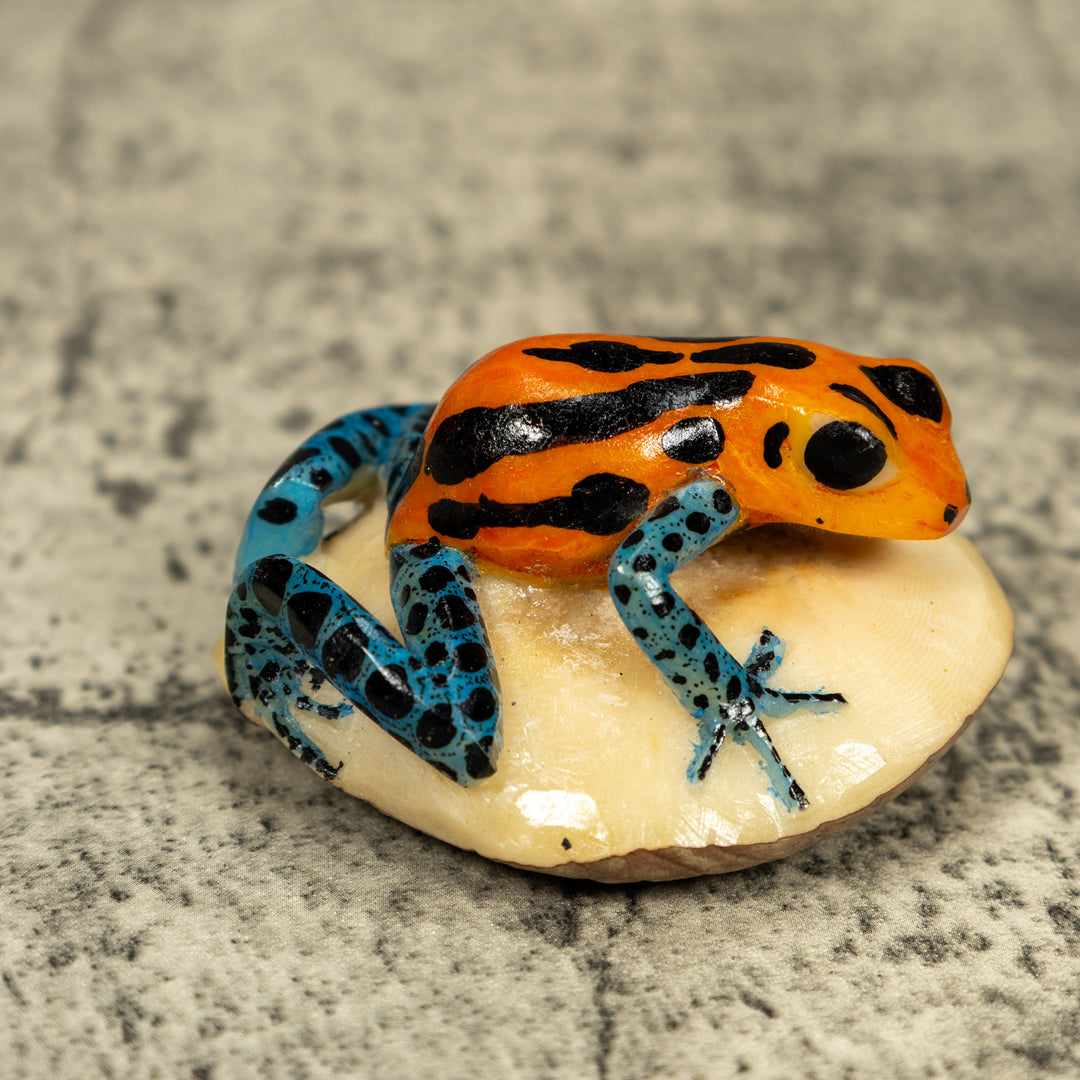 Blue Orange And Black Poison Dart Frog Tagua Carving