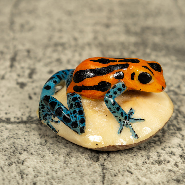 Blue Orange And Black Poison Dart Frog Tagua Carving