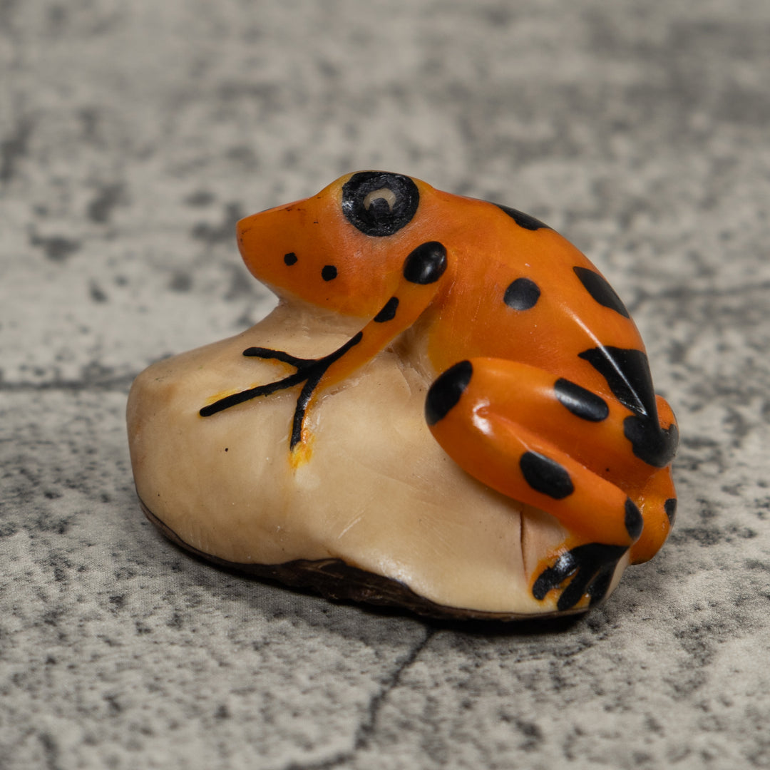 Vintage Black And Gold Frog Tagua Carving