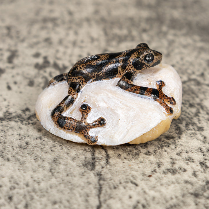 Black And Gold Poison Dart Frog Tagua Carving