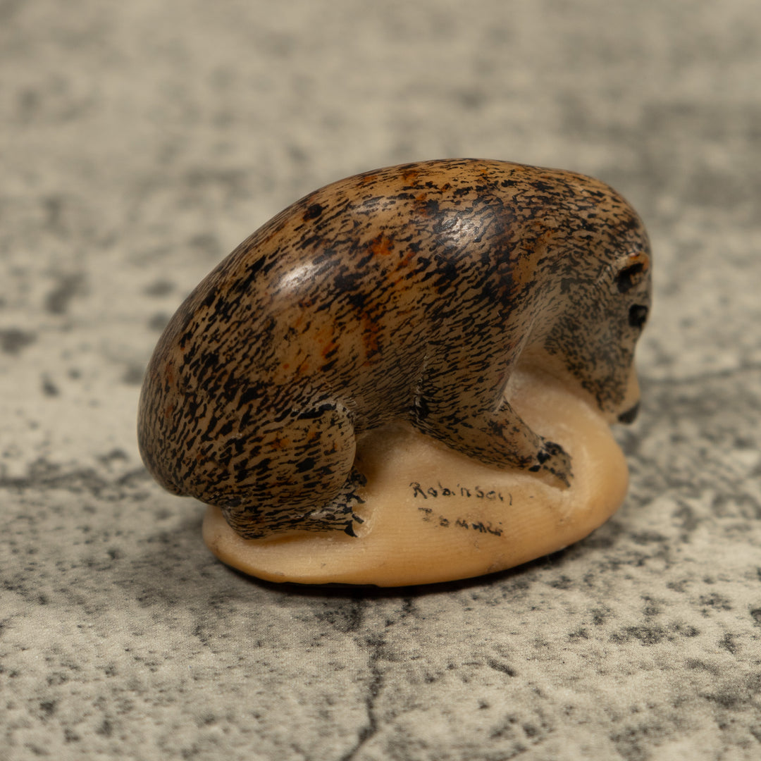 Vintage Coatmundi Tagua Carving