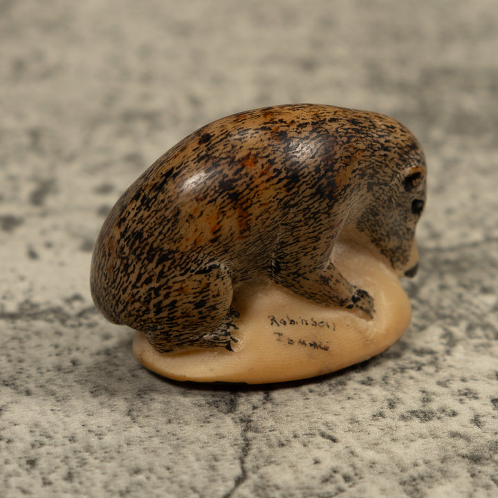 Vintage Coatmundi Tagua Carving