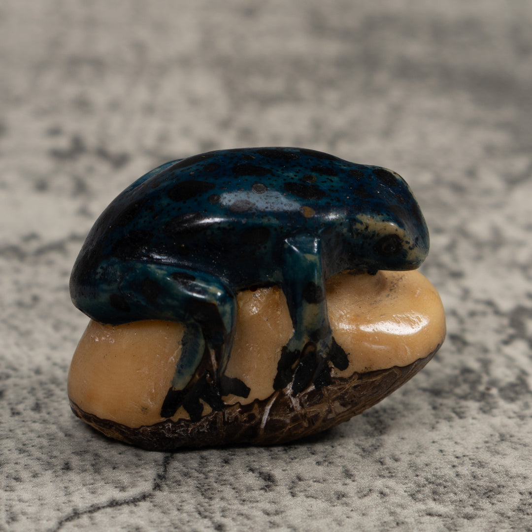 Vintage Dark Blue Frog Tagua Carving