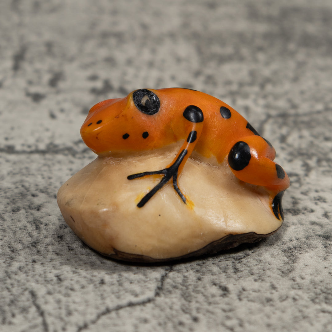 Vintage Black And Gold Frog Tagua Carving
