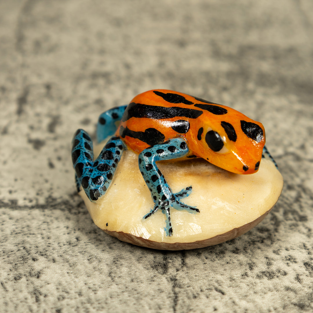 Blue Orange And Black Poison Dart Frog Tagua Carving