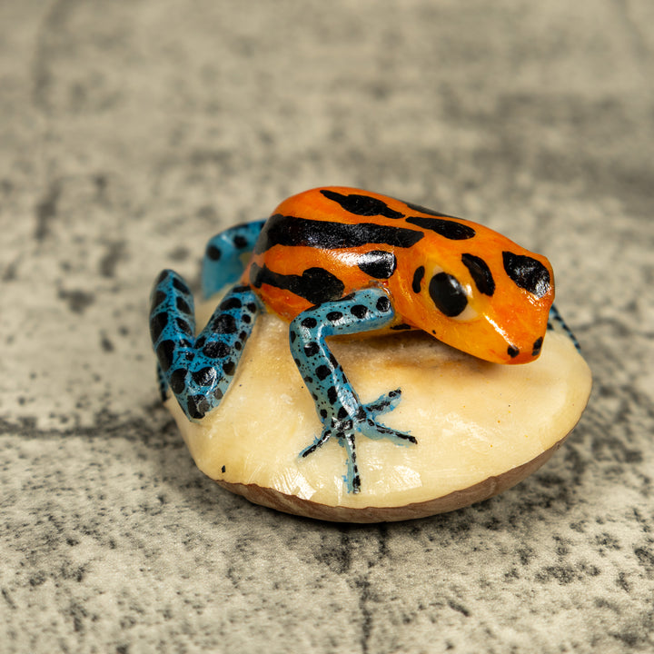 Blue Orange And Black Poison Dart Frog Tagua Carving
