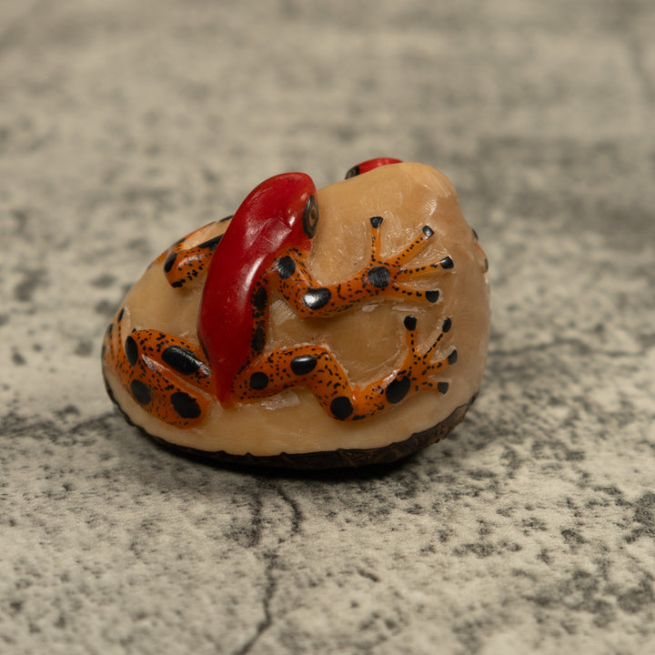 Red And Gold Two Frog Tagua Carving