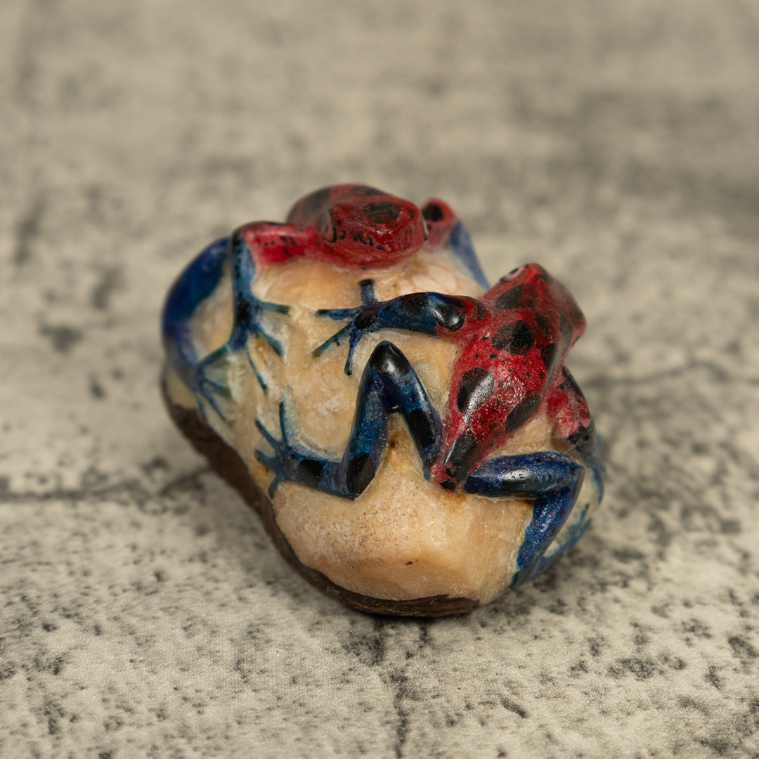 Double Blue Red And Black Frog Tagua Carving