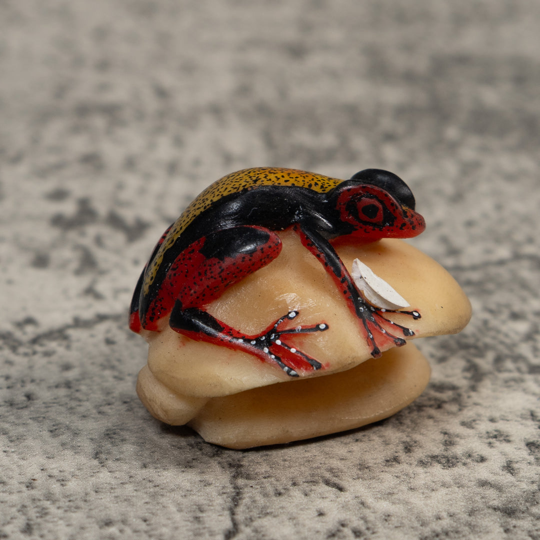 Vintage Red Black And Gold Poison Dart Frog Tagua Carving