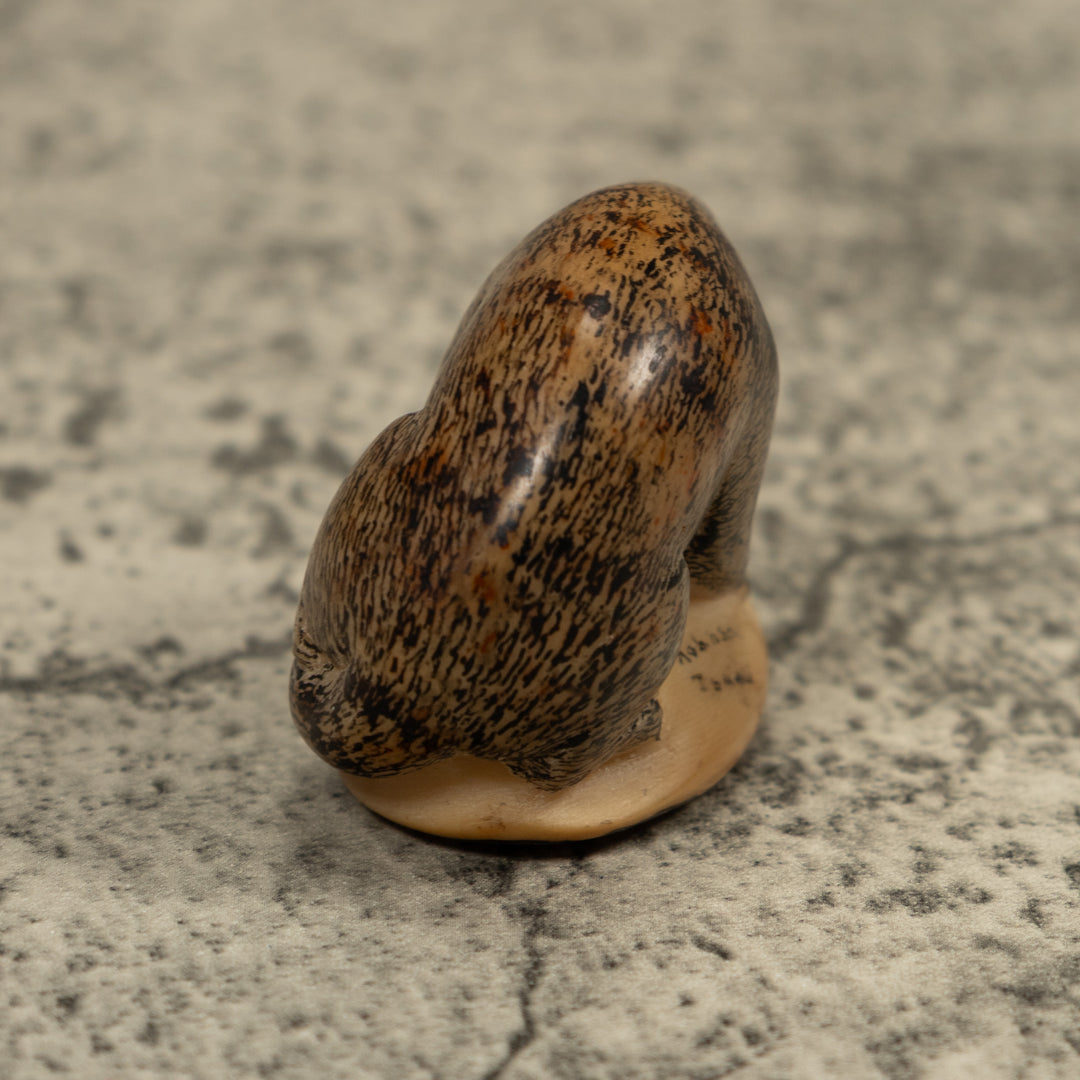 Vintage Coatmundi Tagua Carving