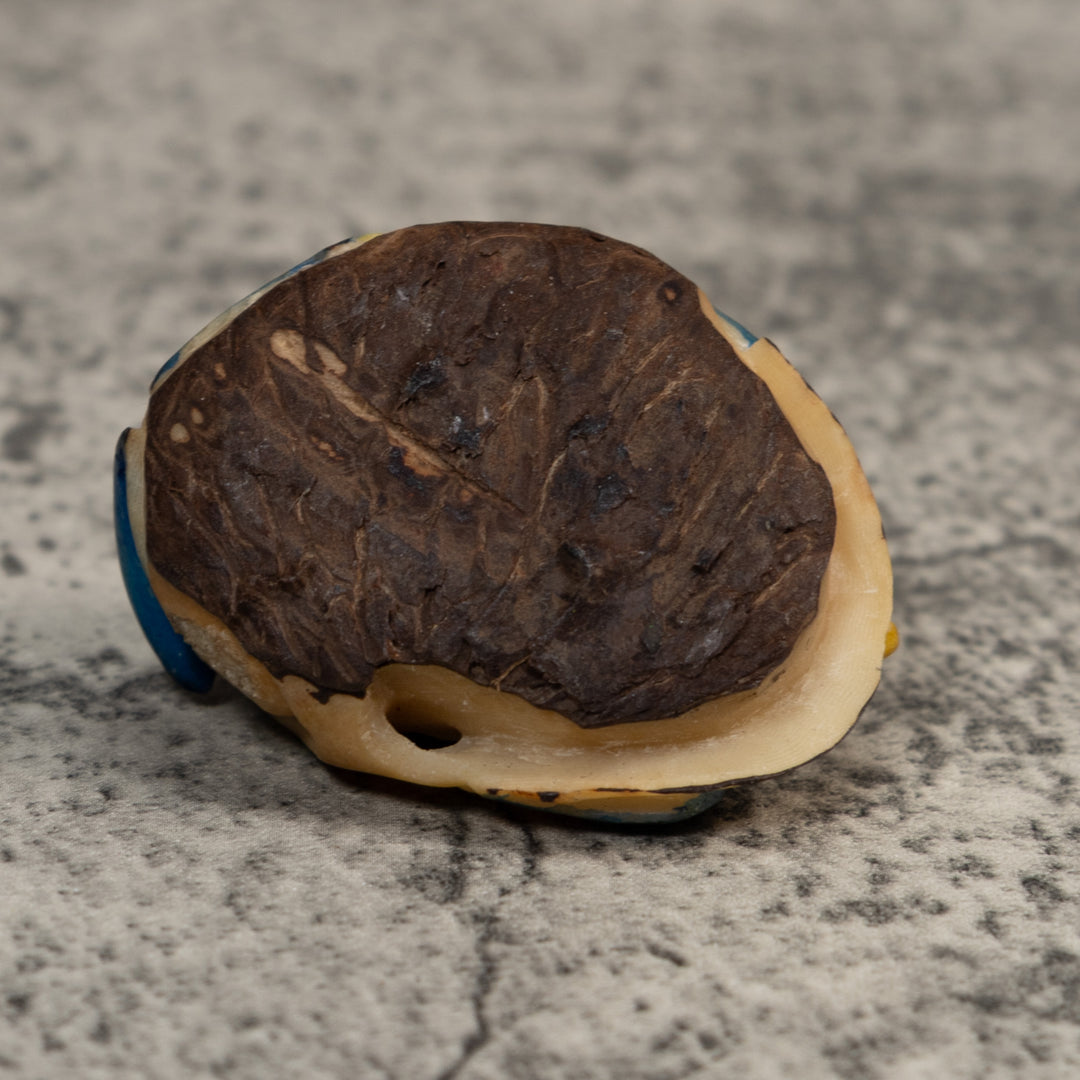 Double Red Blue And Gold Poison Dart Frog Tagua Carving