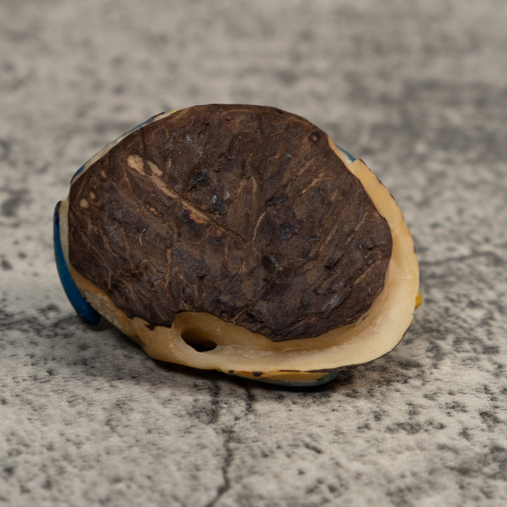 Double Red Blue And Gold Poison Dart Frog Tagua Carving