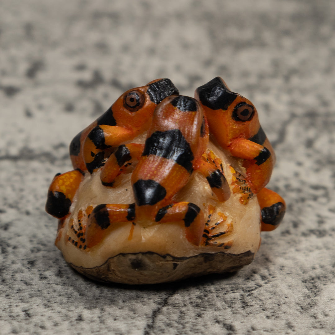 Triple Black And Orange Poison Dart Frog Tagua Carving
