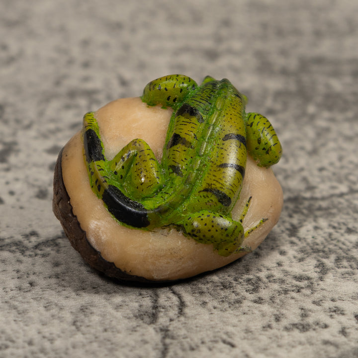 Vintage Iguana Lizard Reptile Tagua Carving