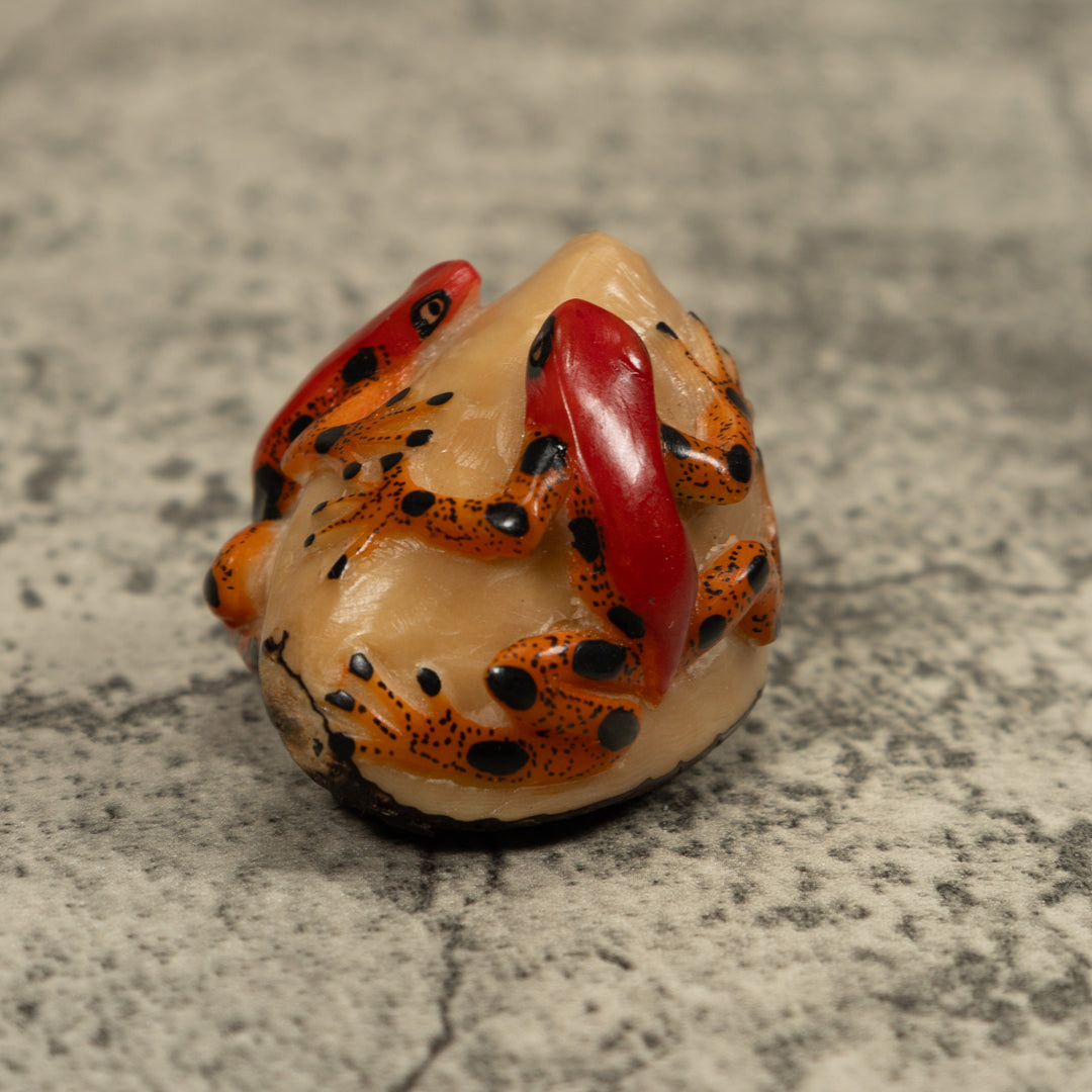 Red And Gold Two Frog Tagua Carving