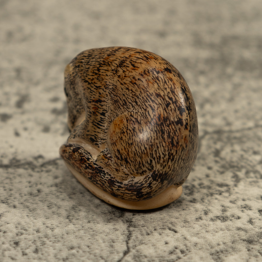 Vintage Coatmundi Tagua Carving