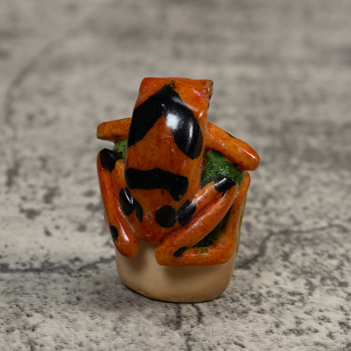 Gold And Black Poison Dart Frog Tagua Carving