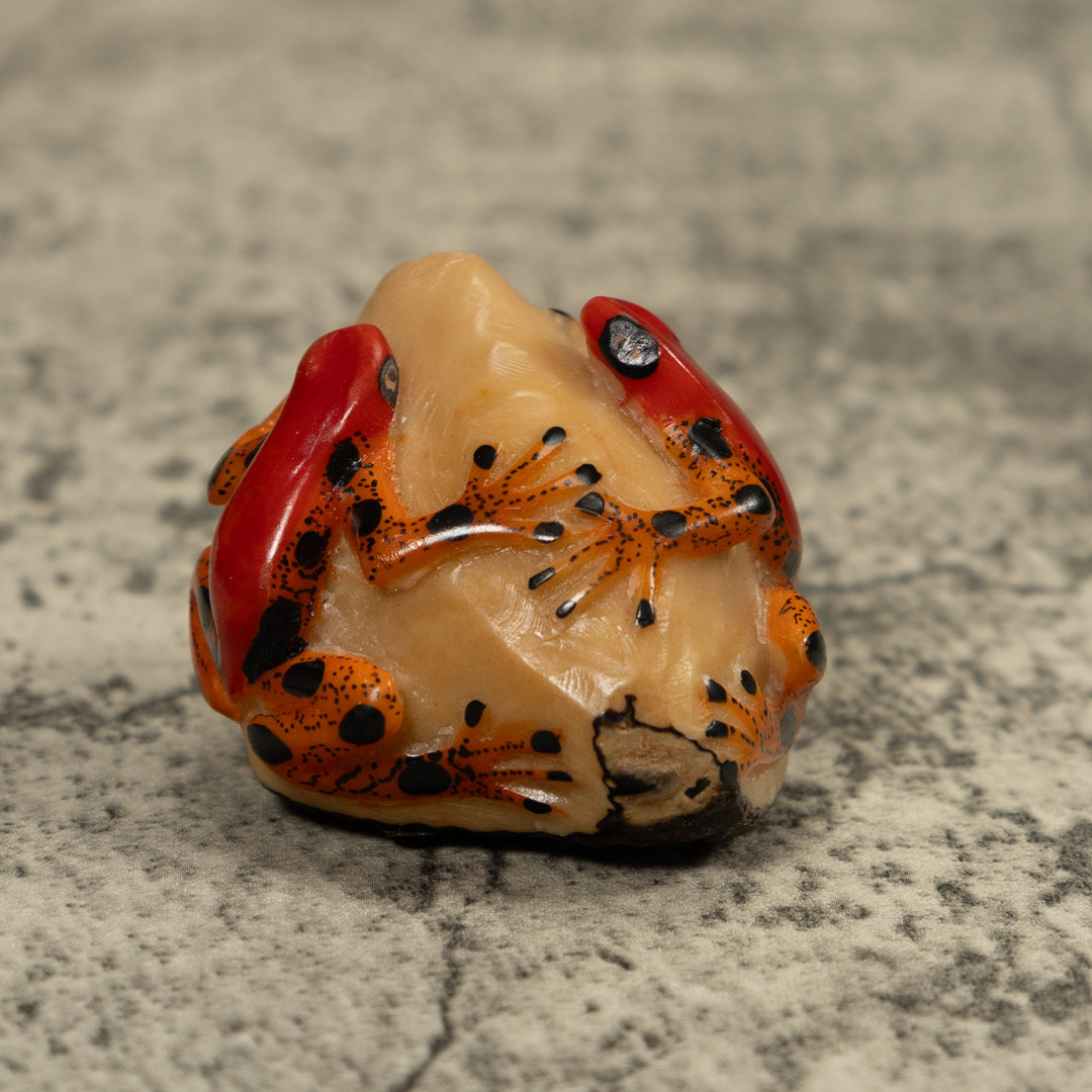 Red And Gold Two Frog Tagua Carving