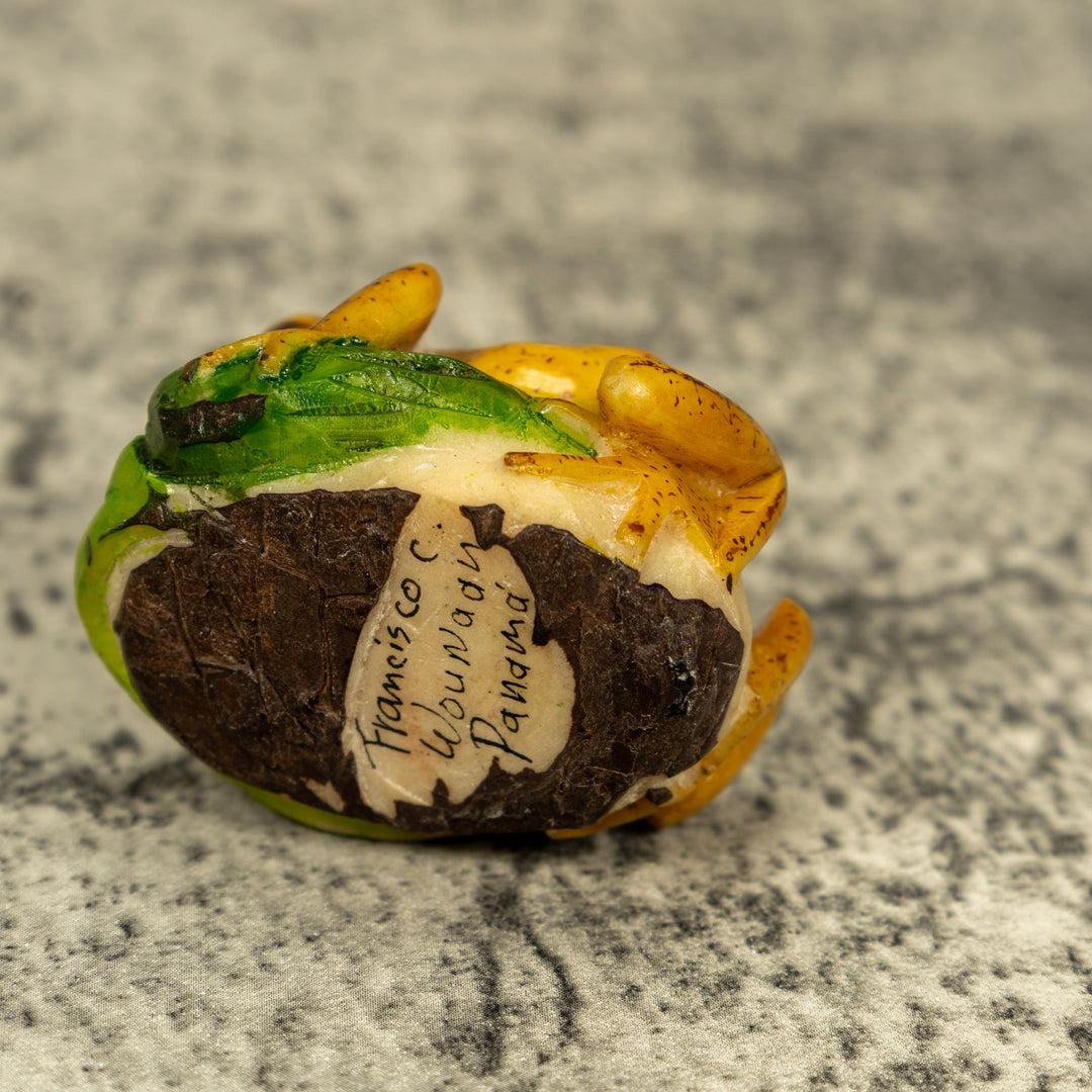 Brown Beige And Black Rainforest Frog Tagua Carving