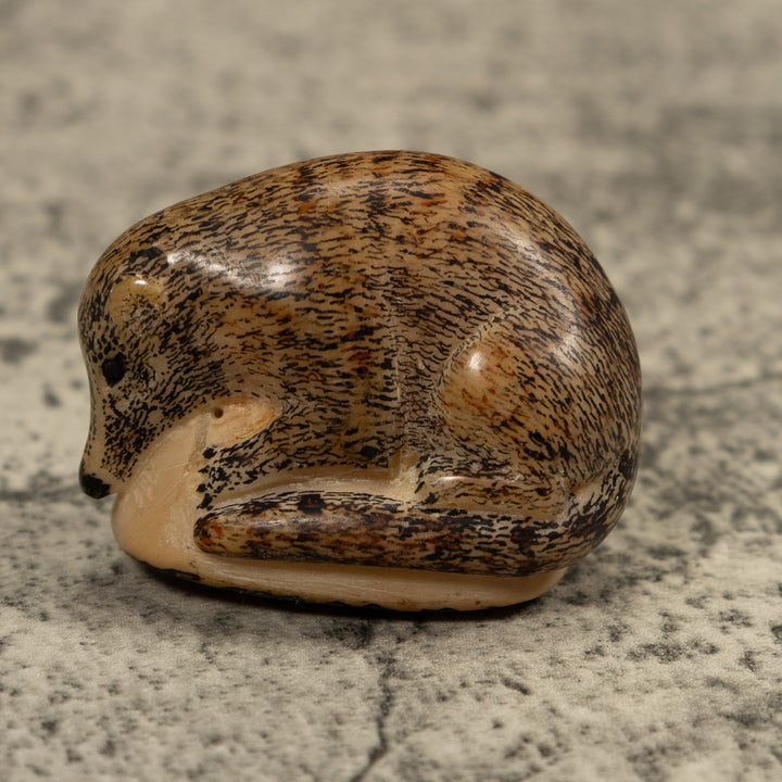 Vintage Coatmundi Tagua Carving