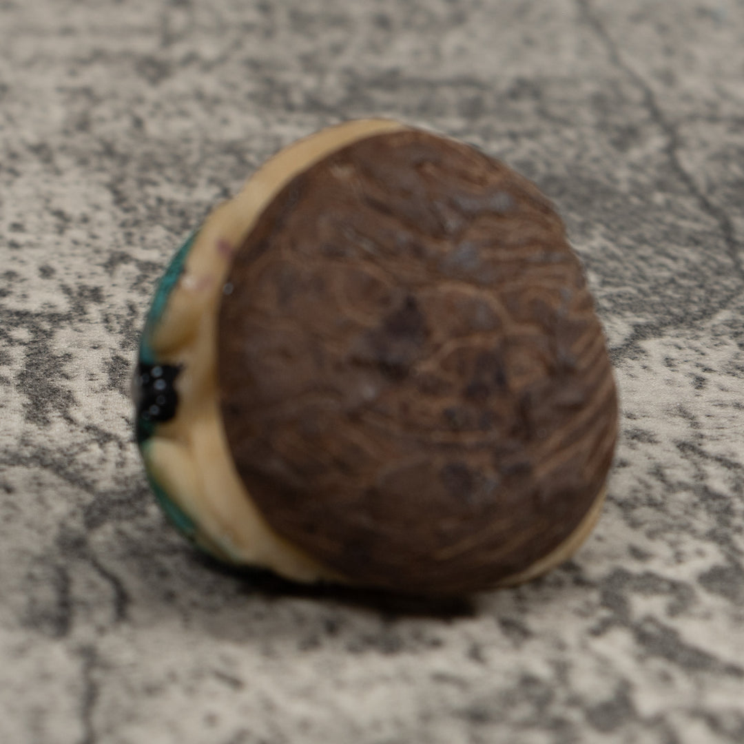 Vintage Blue And Red Poison Dart Frog Tagua Carving