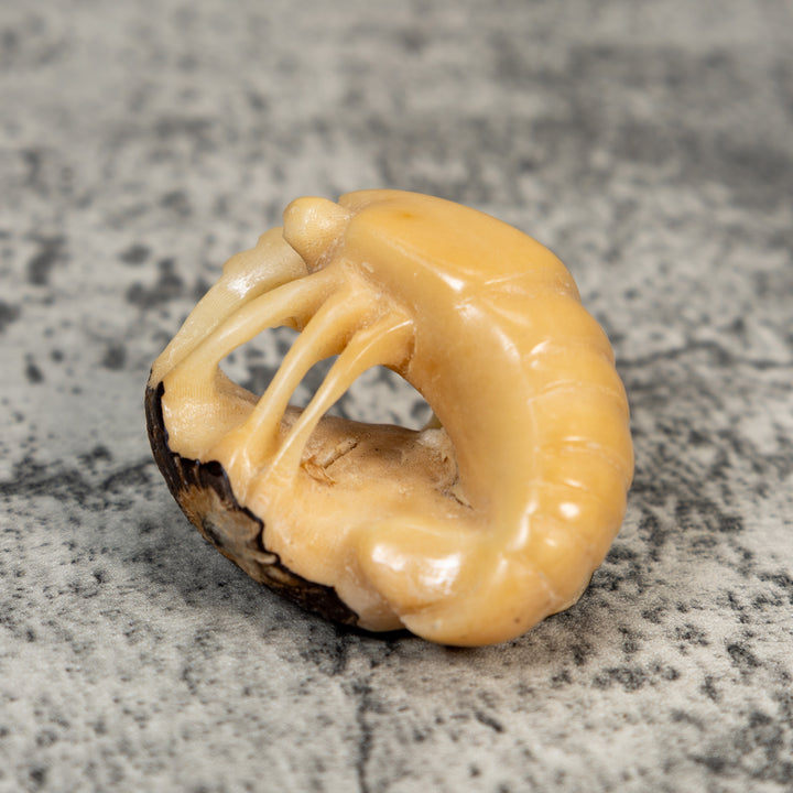 Vintage Natural White Shrimp Tagua Carving