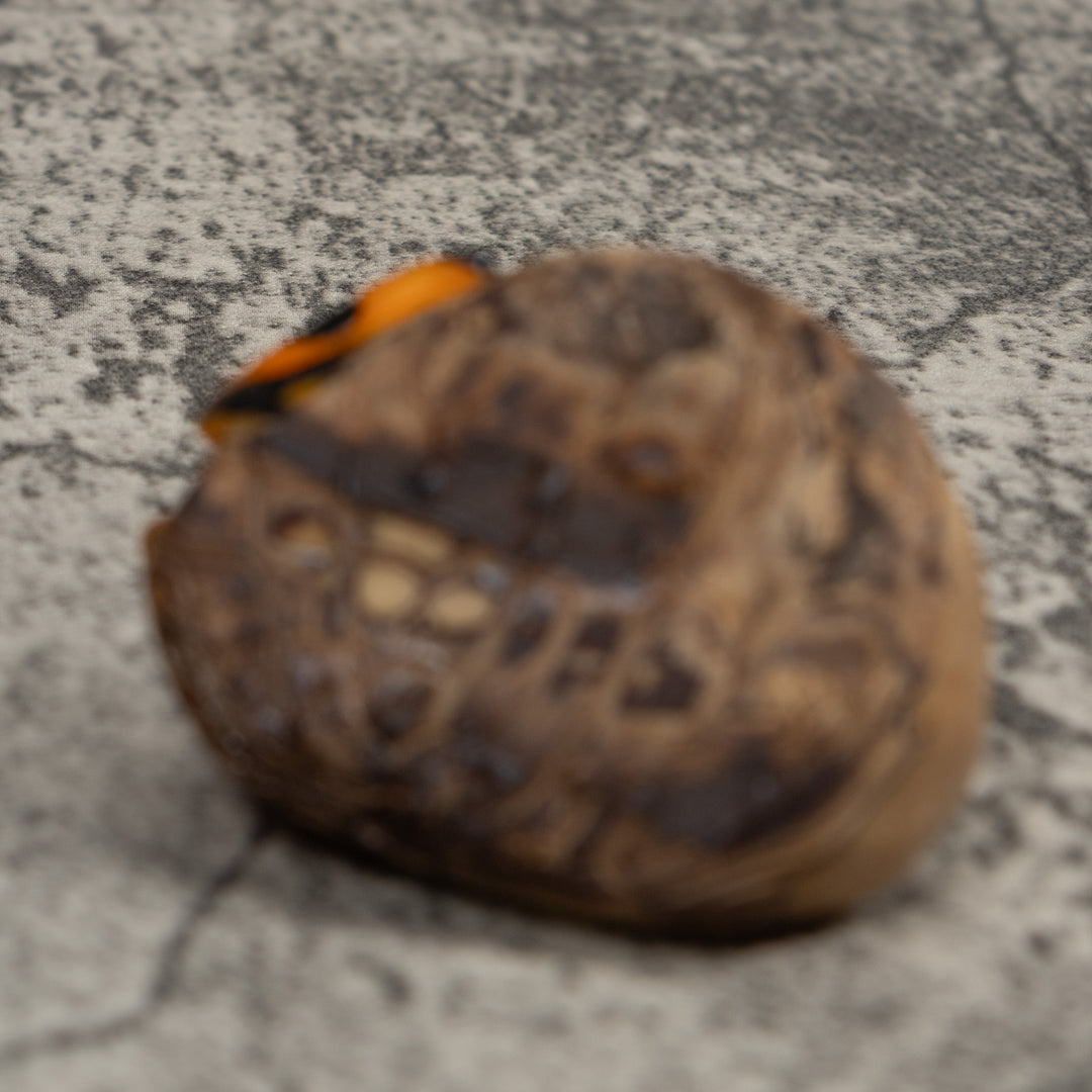 Vintage Black And Gold Frog Tagua Carving