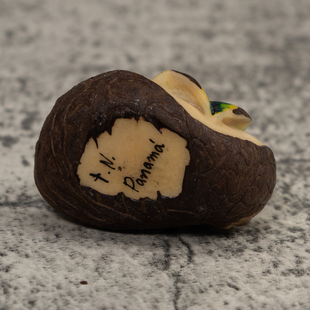 Poison Dart Frog Tagua Carving