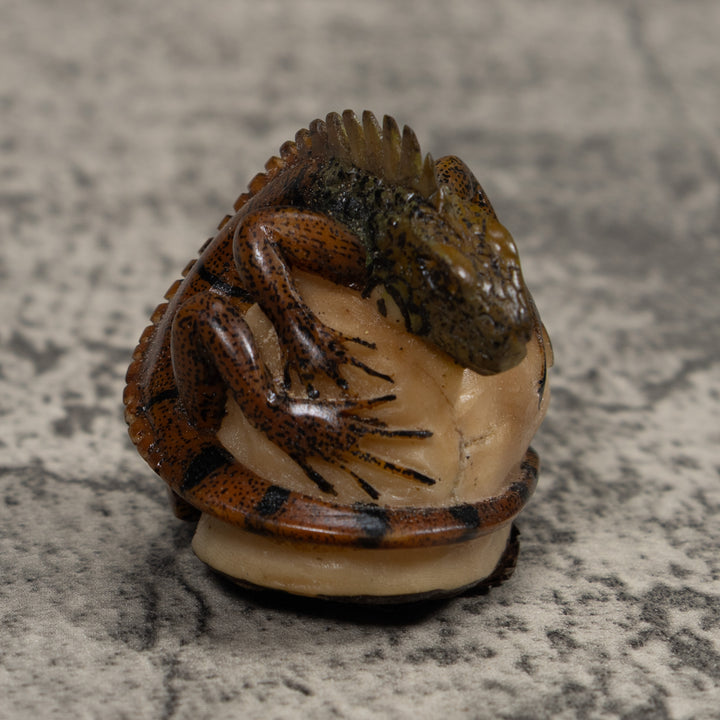 Iguana Lizard Reptile Tagua Carving