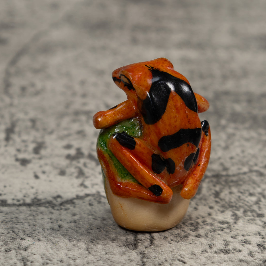 Gold And Black Poison Dart Frog Tagua Carving
