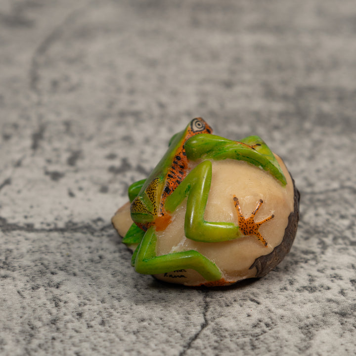 Green And Gold Poison Dart Frog Tagua Carving