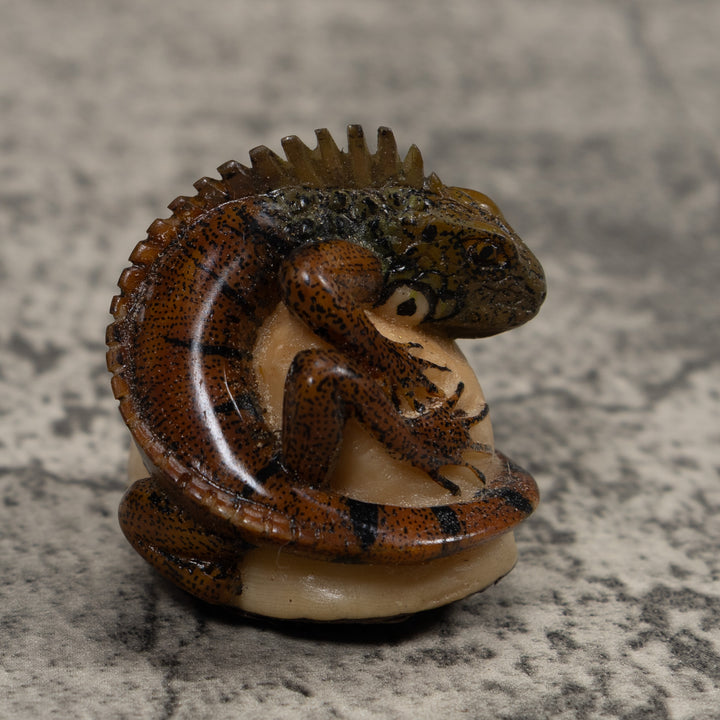 Iguana Lizard Reptile Tagua Carving