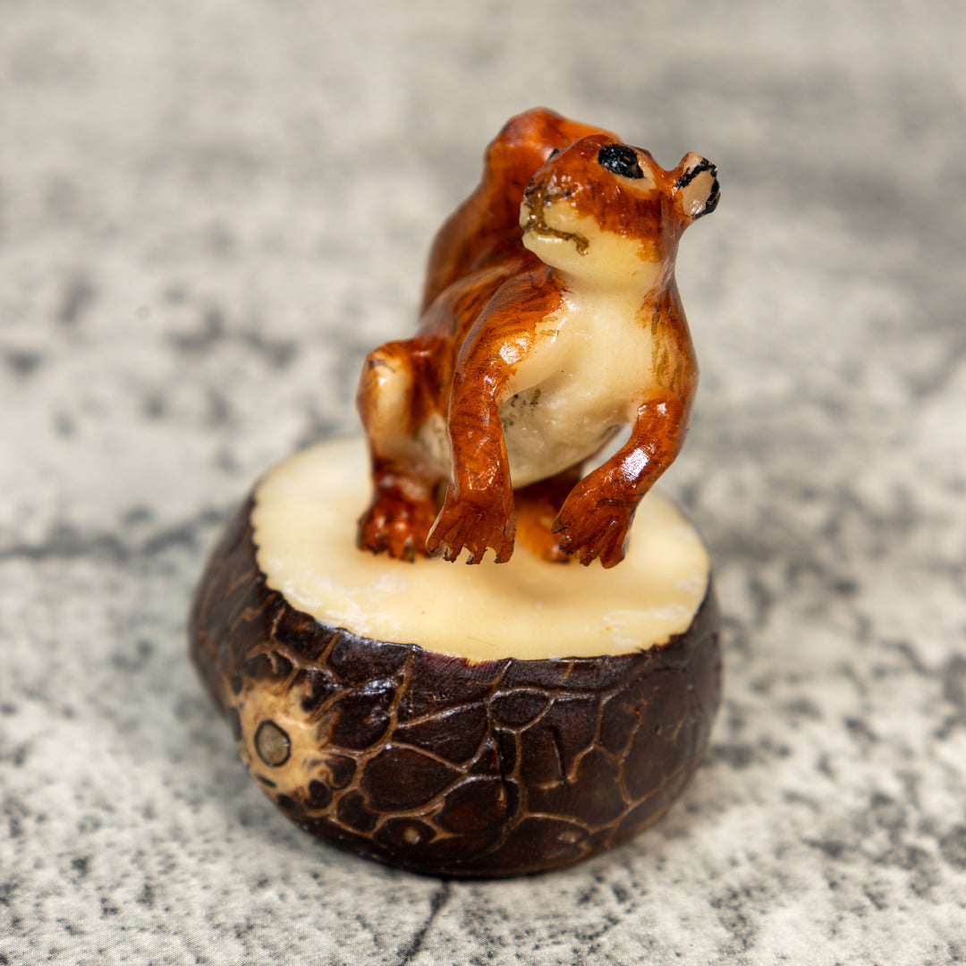 Brown Squirrel Tagua Carving