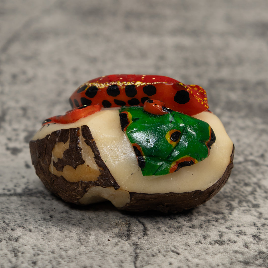 Red Black And Green Poison Dart Frog Tagua Carving