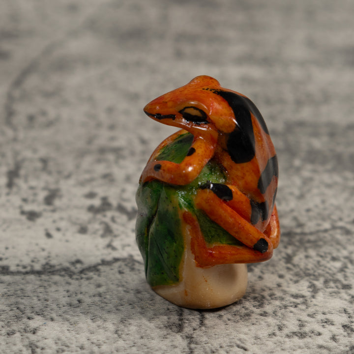 Gold And Black Poison Dart Frog Tagua Carving