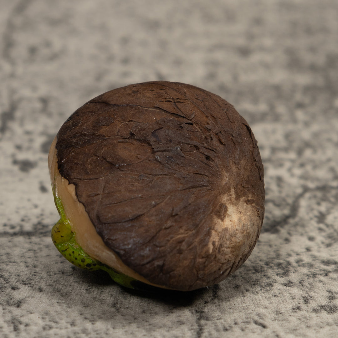 Vintage Iguana Lizard Reptile Tagua Carving